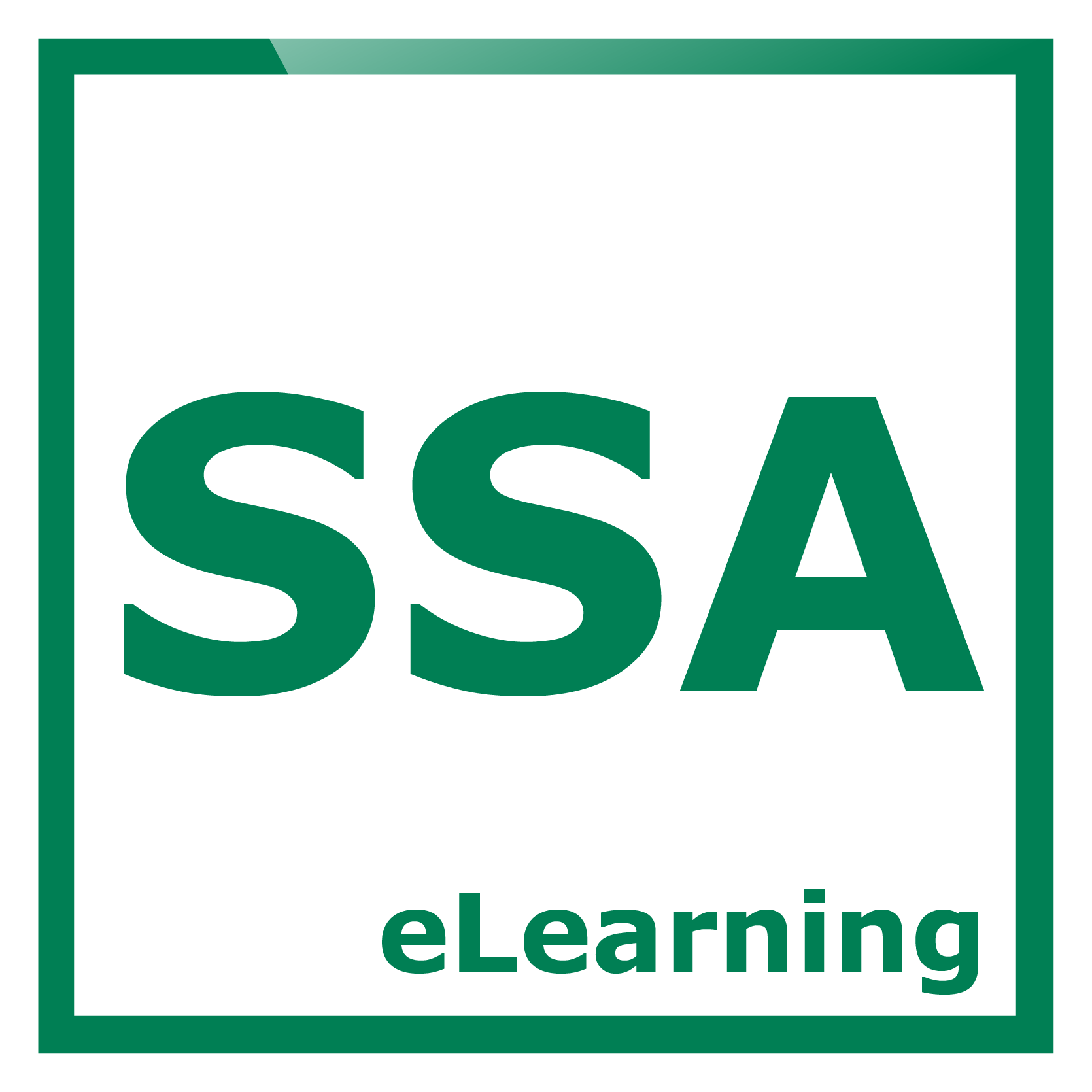solution icon image